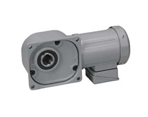 Động cơ NISSEI F3S35N20-MR08TNNTB2X