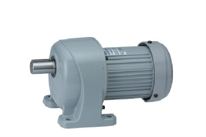 Động cơ NISSEI F3S30N25-MM04TNNTJ2X